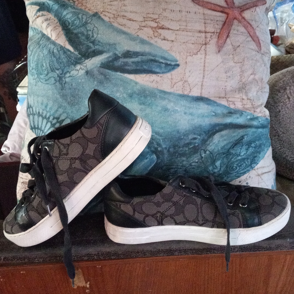 Coach sneakers